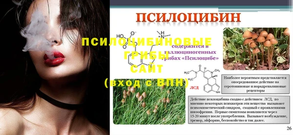 стаф Осинники