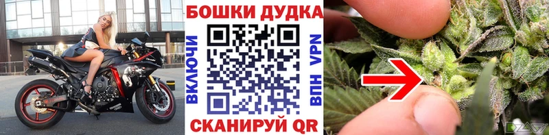 МАРИХУАНА планчик  Калининец 